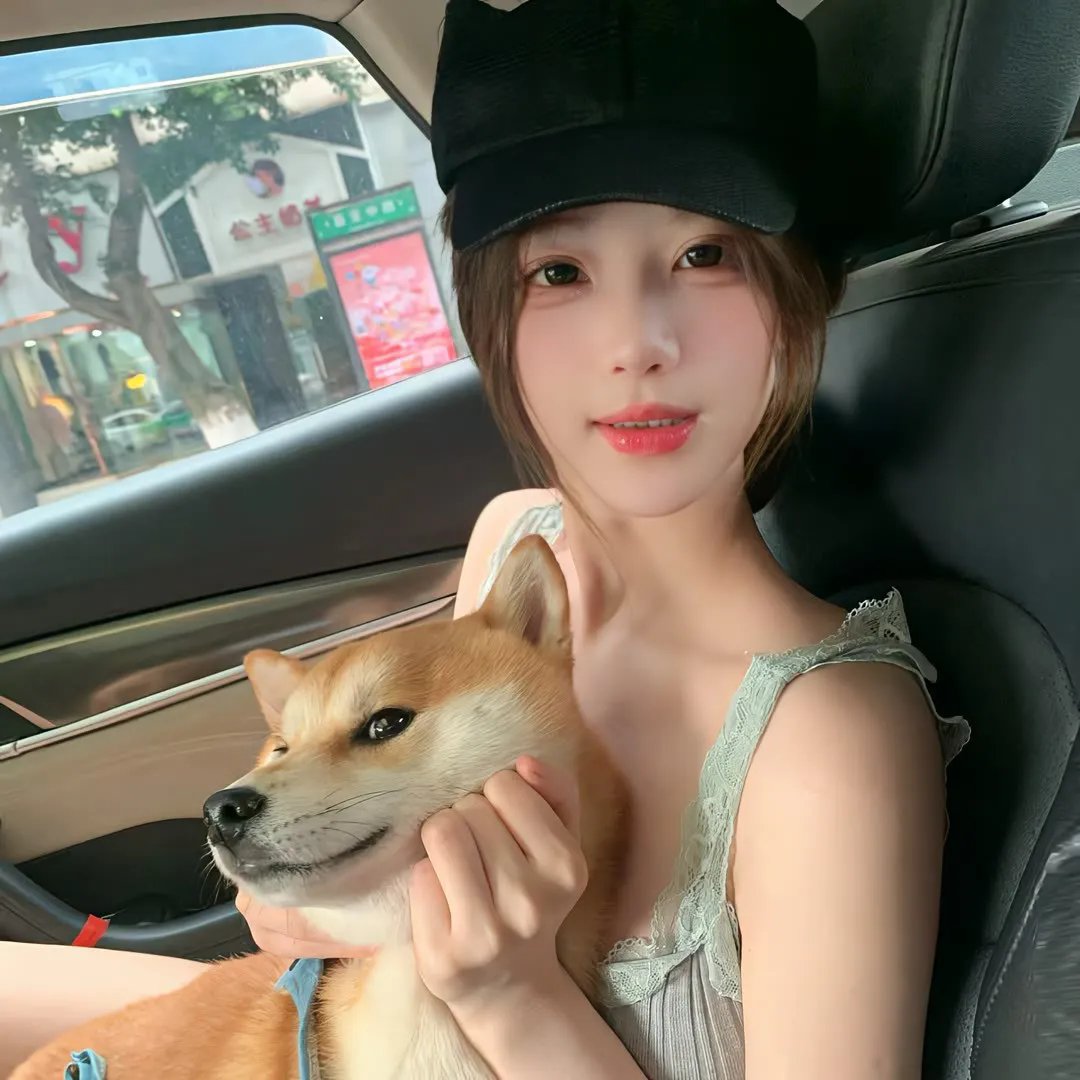 美国派：高潮再起