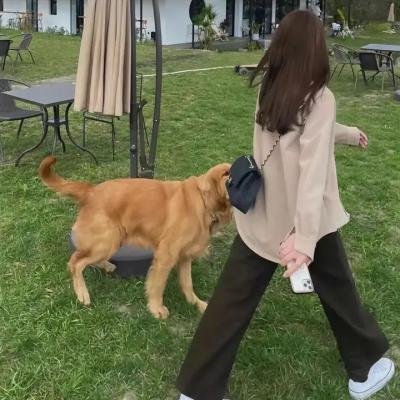 古墓入侵者